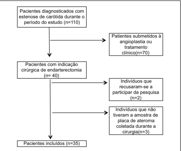 Figura 4.1- Fluxograma do processo de inclusão 