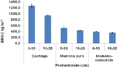 Figura  13-  Valores  de  C-microbiano  em  solos  da  caatinga,  mamona  pura  (10  anos)  e  mamona  consorciada com milho (50 anos)