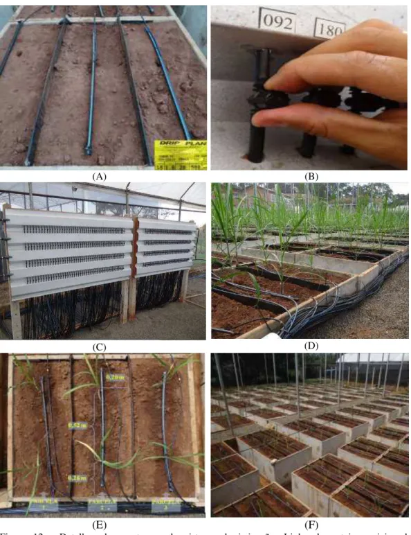 Figura  12  -  Detalhes  da  montagem  do  sistema  de  irrigação.  Linha  de  gotejo  posicionada  centralmente  nas  parcelas  (A);  Microrregistro  instalado  no  painel  de  controle  (B); 