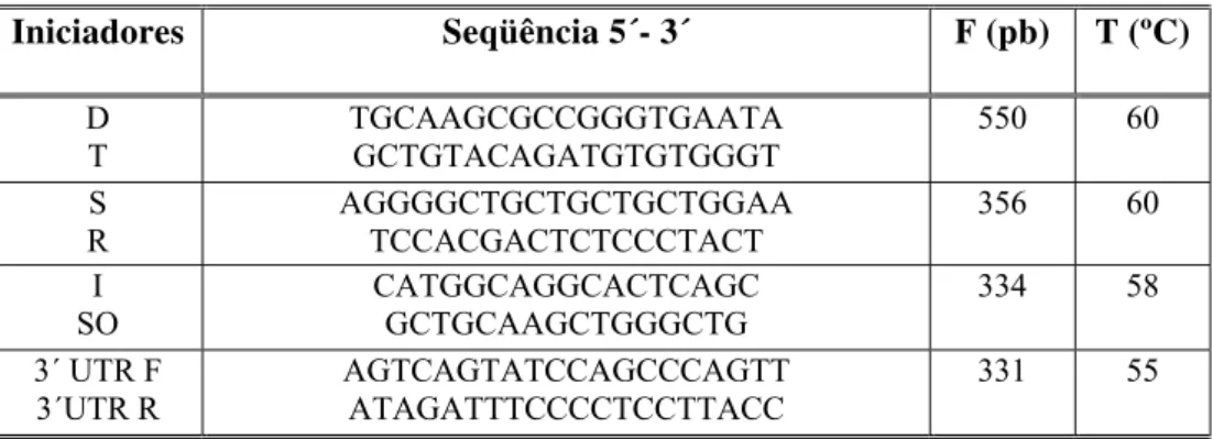 Tabela 1: Iniciadores utilizados na obtenção de ribossondas para hibridação in situ. Para  cada par de iniciadores, à direita se encontram o tamanho do fragmento gerado (F) e a  temperatura de anelamento (T  o C) das reações de PCR