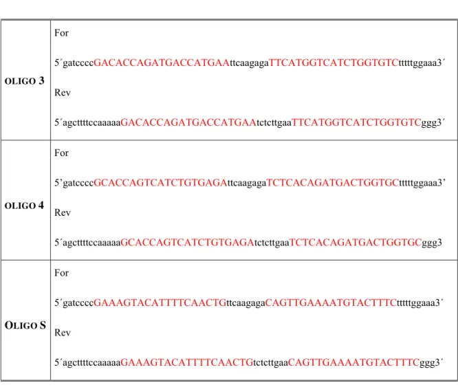 Tabela 2: Oligonucleotídeos desenhados e sintetizados a partir da seqüência de HIPK2  para expressão de shRNA