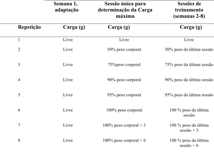 Tabela 3. Cargas referentes às repetições do protocolo de exercício resistido. Carga “livre” significa uma  subida sem peso adicional