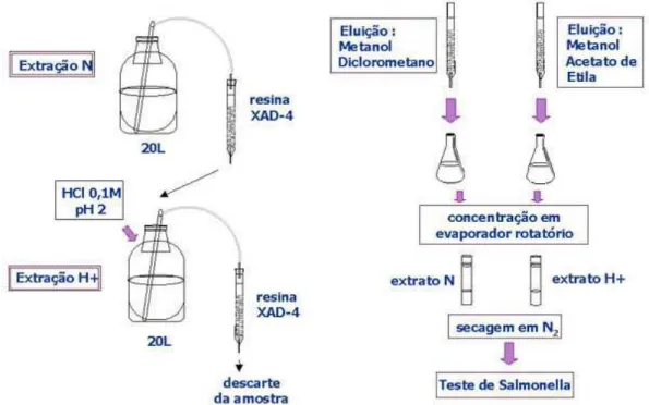 Figura 2. Esquema de extração de amostras de água por XAD4 em pH da  amostra e após acidificação das amostras
