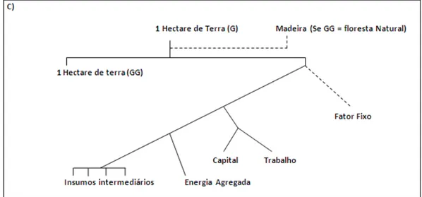 Figura 8 - Estrutura das funções de transformação da terra  Fonte: Gurgel, Reilly e Paltsev (2008)