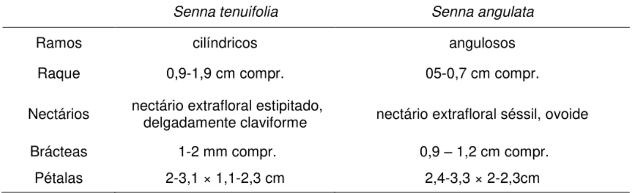 Tabela 7 - Características diagnósticas entre Senna tenuifolia e S. angulata 