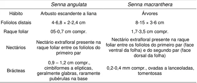 Tabela 5 - Características diagnósticas entre Senna angulata e Senna macranthera 