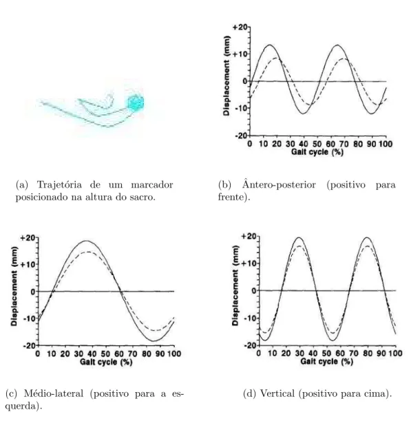 Figura 3.1: Aproxima¸c˜ao senoidal do movimento do centro da p´elvis (em linha s´olida) e do centro de massa (em linha tracejada) durante o ciclo da marcha (Whittle 1997).