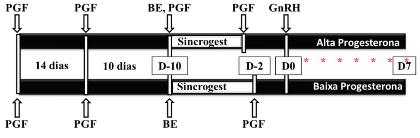 Figura 2 - Protocolo-base do manejo reprodutivo experimental dos animais para obtenção de amostras 