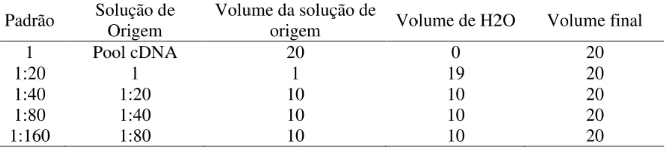 Tabela 2 - Ingredientes para preparação da curva padrão de cDNA obtido a partir de extratos de endométrio de  vacas Nelore (volumes em µL) 