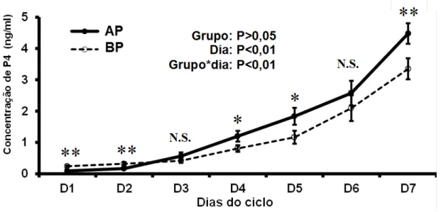 Figura 6- Dinâmica temporal das alterações das concentrações plasmáticas de progesterona do dia 1 até o dia 7  dos animais dos grupos alta progesterona após a ovulação (AP) e baixa progesterona após a ovulação (BP)
