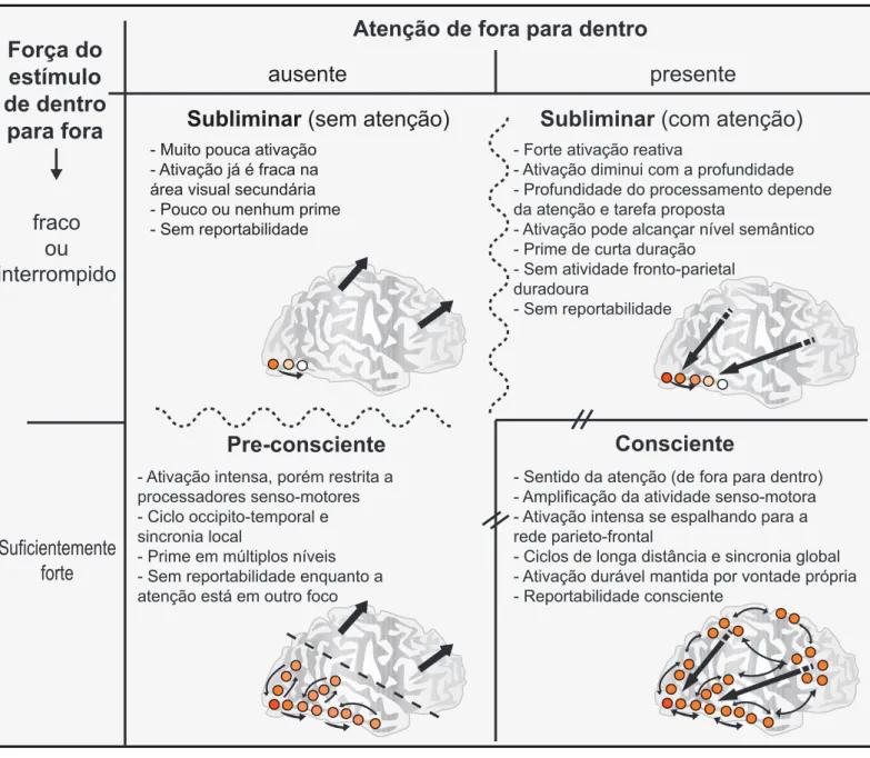Fig. 1: Os processos cognitivos