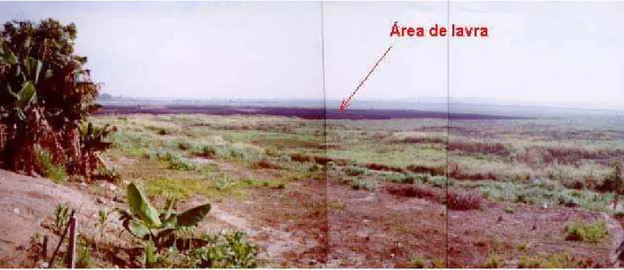 Foto 5 - Visão geral do módulo de 50ha em exploração da turfeira, com destaque para a atual área de  lavra
