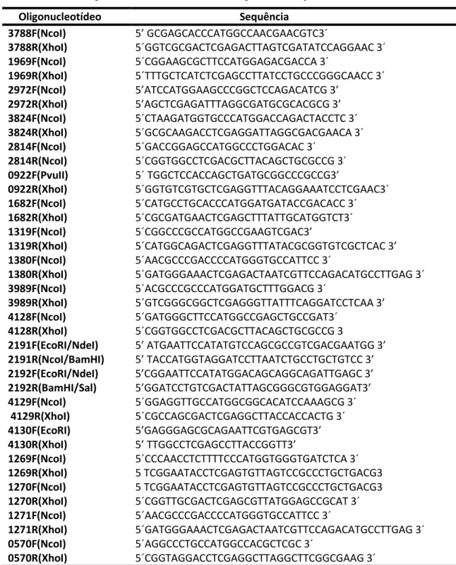 Tabela 1: Lista de oligonucleotídeos utilizados nas clonagens no vetor pOBD.      Oligonucleotídeo                    Sequência  3788F(NcoI)  ’ GCGAGCACCCATGGCCAACGAACGTC ´  3788R(XhoI)  5´GGTCGCGACTCGAGACTTAGTCGATATCCAGGAAC 3´  1969F(NcoI)  5´CGGAAGCGCTTC