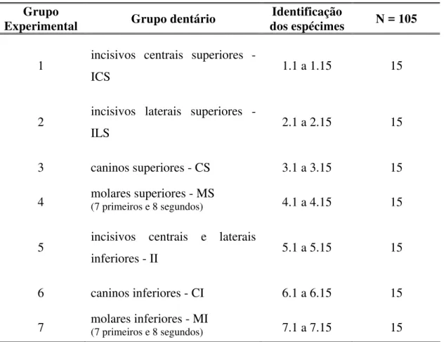 TABELA 1 - Caracterização e distribuição dos 105 dentes decíduos nos sete grupos  experimentais de acordo com os respectivos grupos dentários para análise  da junção amelocementária à microscopia eletrônica de varredura 