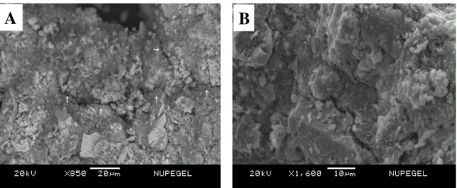 Figura 2.7 - Fosfatos aluminosos do grupo da crandallita em Juquiá-SP: alteração estrutural  (fraturamento) (A) e aspecto morfológico (arredondamento) (B) ocasionados pelo  tratamento térmico da amostra (500 °C) 