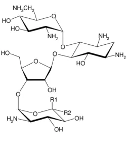 Figure 1. Estrutura química da neomicina B (R1: CH 2 NH 2  e R2: H) e neomicina C (R1: 