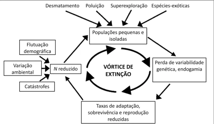 Figura 1. Interações entre fatores determinísticos e estocásticos no processo de risco de extinção de espécies