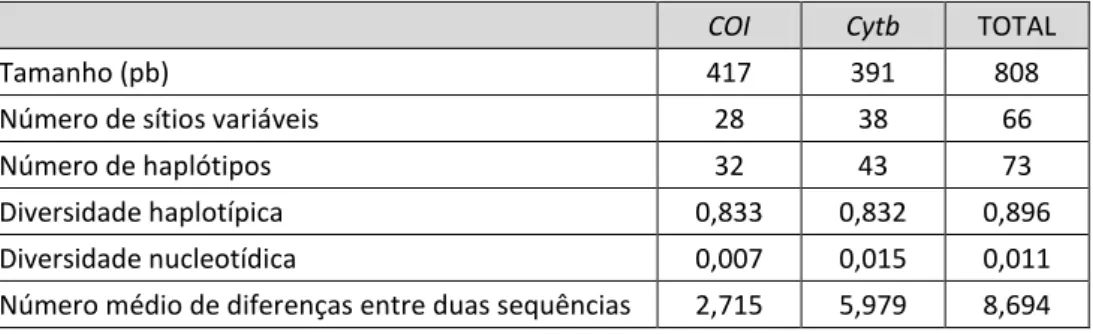 Tabela  4.  Informações  sobre  os  genes  mitocondriais  sequenciados  em  Tetragonisca  angustula