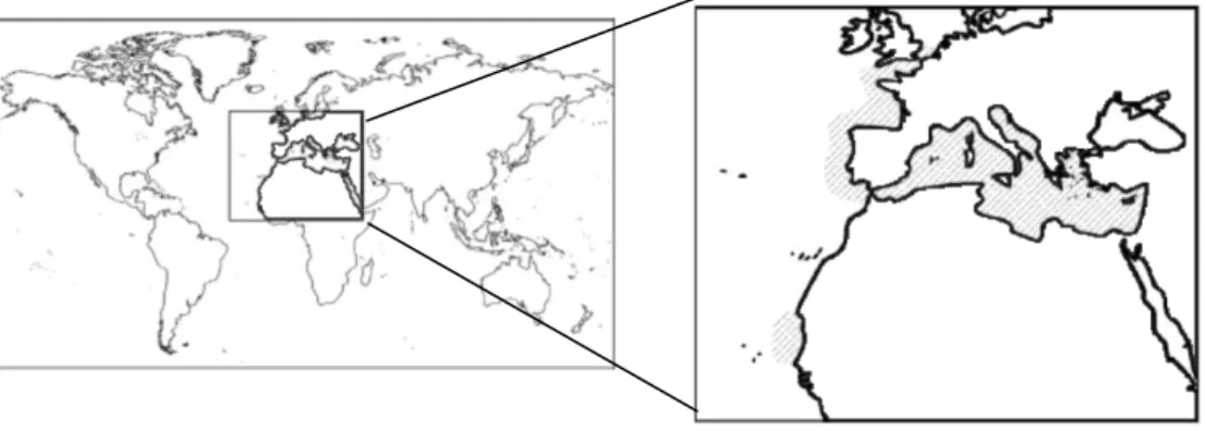 Figura 1-3: Mapa da distribuição de Hippocampus guttulatus. (IUCN 2010 )