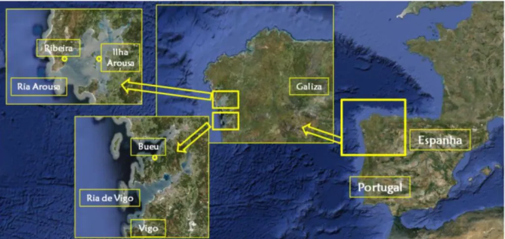 Figura 1-9: Imagem Google Maps das zonas de amostragem do Proyecto Hippocampus nas Rias  Baixas  da  Galiza