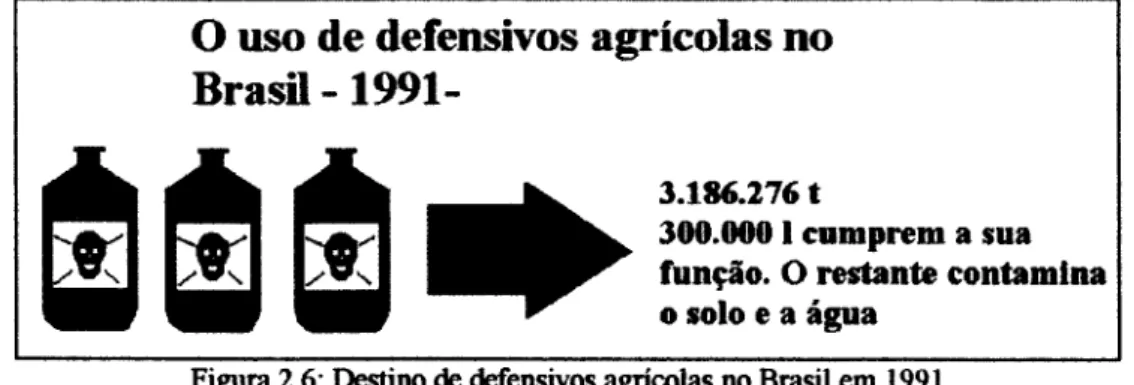 Figura 2.6: Destino de defensivos agricolas no Brasil em 1991 Fonte: Atlas do Meio Ambiente, EMBRAPA, 1994