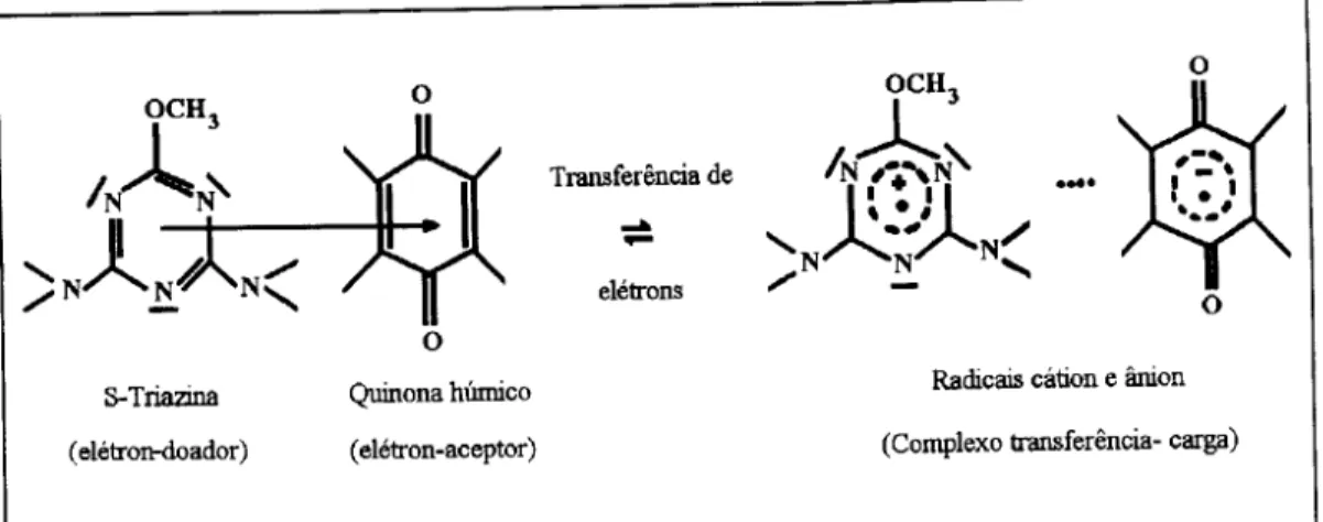 Figura 2.10: Mecanismo troca de ligante na substfulcia hUmica pela adsor9ao da s-triasina atraves de uma ponte de cation de metal
