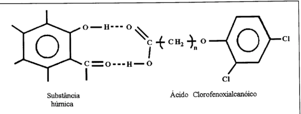 Figura 2.15: Forma~ao de urn radical intennediano entre 2,4-D e rea~o de acoplamento cruzado (&#34;cross-coupling&#34;) com 0 radical hUrnico semiquinona com incorpora~ao do residuo a molecula Mmica