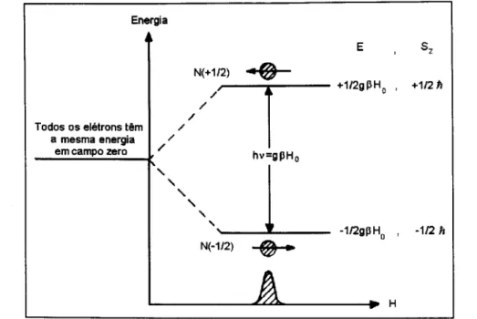 Figura 3.4: Condi~ao bcisica para ressonancia eletronica, hv = g~H, onde N ( Y 2 ) e 0 nfunero de eletrons na amostra com spin Y 2 e N( - Y 2 ) e 0 nfunero de eIetrons com spin - Y 2