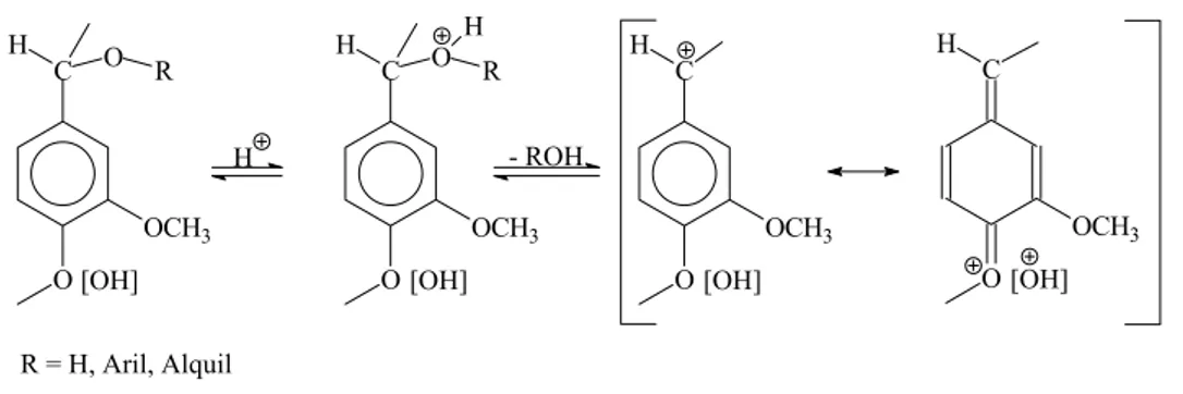 Figura 9-   Reações de condensação de lignina com ácidos minerais concentrados: (a) ácido  sulfúrico; (b) fluoroglicinol / ácido clorídrico (FENGEL; WEGENER, 1989)