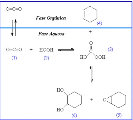 Figura 11-  Epoxidação de ciclo-hexeno em sistema bifásico contendo solução aquosa de H 2 O 2