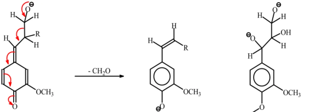 Figura 12-   Clivagem de ligações C-C, com liberação de formaldeído (FENGEL; WEGENER,  1989)