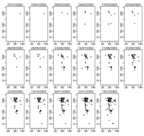 Figura 5 - Mapas com incidˆencia de leprose dos citros em um talh˜ao nas avalia¸c˜oes do ano de 2003
