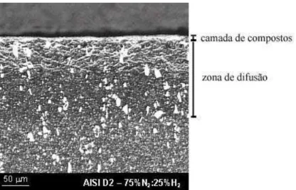 Figura 3.9 - Micrografia óptica mostrando a microestrutura de uma camada nitretada  obtida em aço ferramenta AISI D2 nitretado por 10 horas, com 75% de N 2 , a 520  o C (Pinedo  et al., 2002)