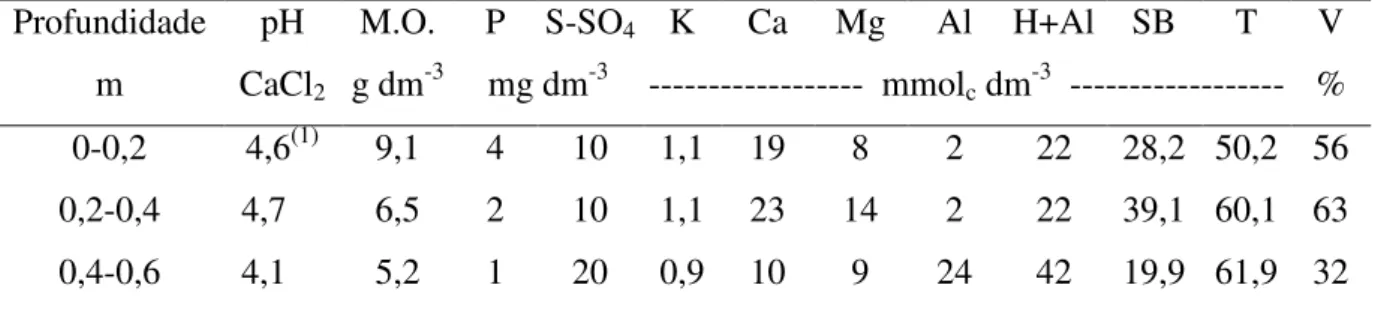 Tabela  3.1  –  Resultados  da  caracterização  química  do  solo  da  área  experimental,  para  avaliação da fertilidade, antes da aplicação do lodo de esgoto (julho de 2005)