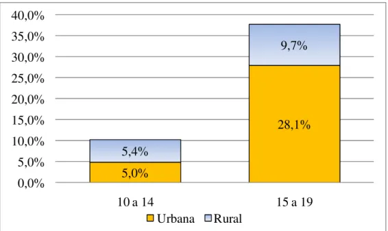 Gráfico 2.6– Brasil: Percentual de Pessoas Ocupadas por Faixa Etária - 2005   Fonte: Elaboração própria a partir de dados da PNAD, 2006 