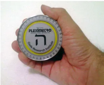 Figura 24a - Flexímetro (ICP).  Fonte: Instituto Code de Pesquisa, (2008). 
