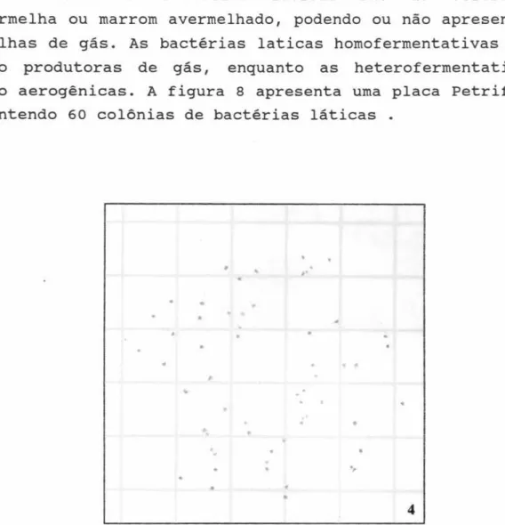 Figura 8. Placa Petrifilm para bactérias láticas contendo 60 colônias.