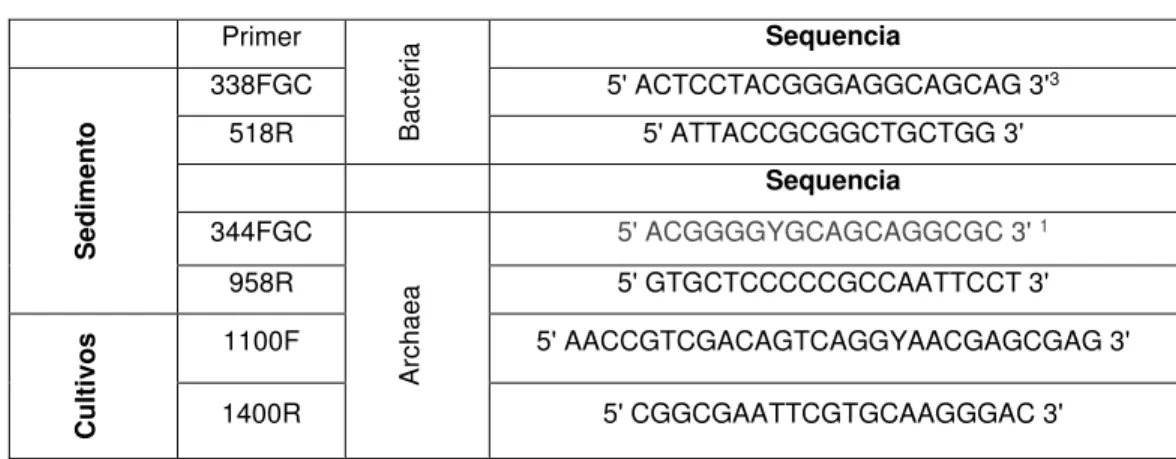 Tabela 4 - Sequência de primers usados no DGGE.     Primer  Bactéria Sequencia  Sedimento 338FGC  5' ACTCCTACGGGAGGCAGCAG 3' 3518R 5' ATTACCGCGGCTGCTGG 3'      Sequencia 344FGC  Archaea 5' ACGGGGYGCAGCAGGCGC 3'  1 958R  5' GTGCTCCCCCGCCAATTCCT 3'   Cultivo