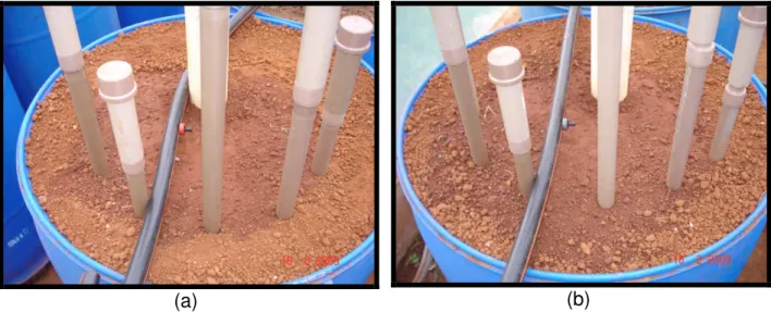 Figura 2 – Sistema de irrigação, montado sobre as bombonas, para aplicação de fertilizantes (a) e (b)