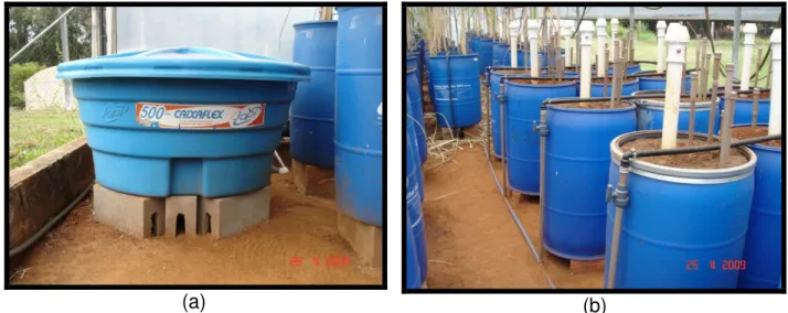 Figura 5 - Reservatório de PVC para prepara da solução fertilizante (a) e sistema de distribuição (b)