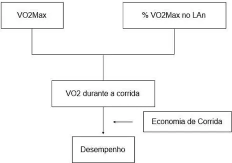 Figura  1  –  Diagrama  simplificado  das  influências  que  o  VO2Max,  Lan  e  Economia  de  Corrida exercem no desempenho esportivo