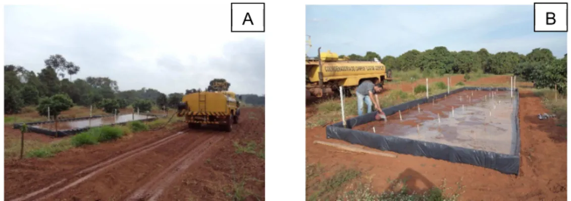 Figura  5  –  Saturação  do  solo.  A:  Processo  de  saturação  do  solo  do  experimento;  B:desnível  observado pelo acúmulo da água em partes da área experimental  