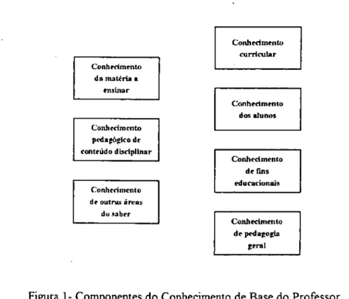 Figura 1- Componentes do Conhecimento de Base do Professor 