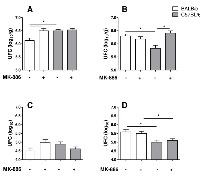 Figura 2: Número de Unidades Formadoras de Colônia (UFC) nos pulmões e baços de  animais BALB/c e C57BL/6 infectados por M