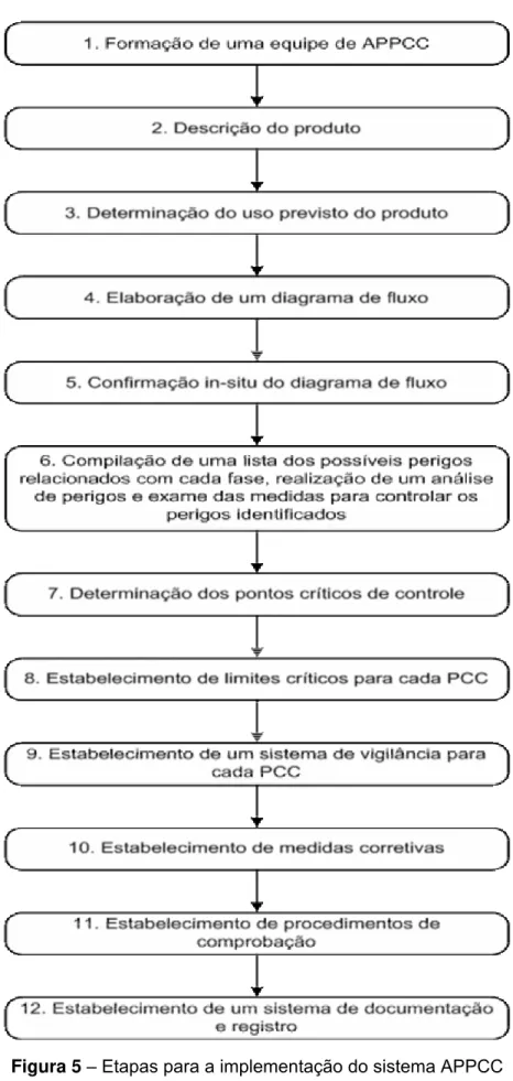 Figura 5 – Etapas para a implementação do sistema APPCC     Fonte: Figuereido (2001) 