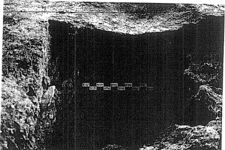 Fig.  11.  - Successioll  de sols d'argfle dans la  salle  7. 