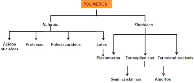 Figura 1 - Classificação de polímeros, (Faustino, 2014). 