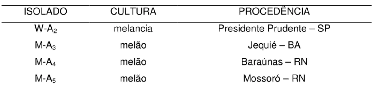 Tabela 1 - Procedência dos isolados de Acidovorax avenae subsp. citrulli  