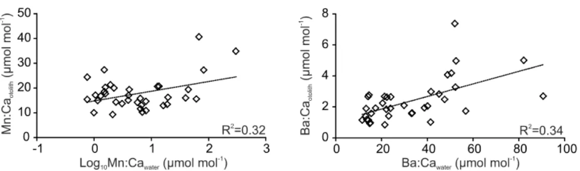 Fig.  5.  Relationship  between  element:Ca  in  otoliths  of  juvenile  Solea  solea  and  in  the  ambient  water of the Tejo estuary