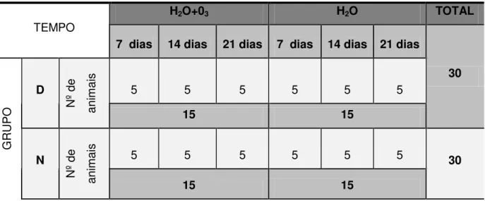 Tabela 4.1 - Distribuição dos animais nos períodos e grupos controle e experimentais TEMPO